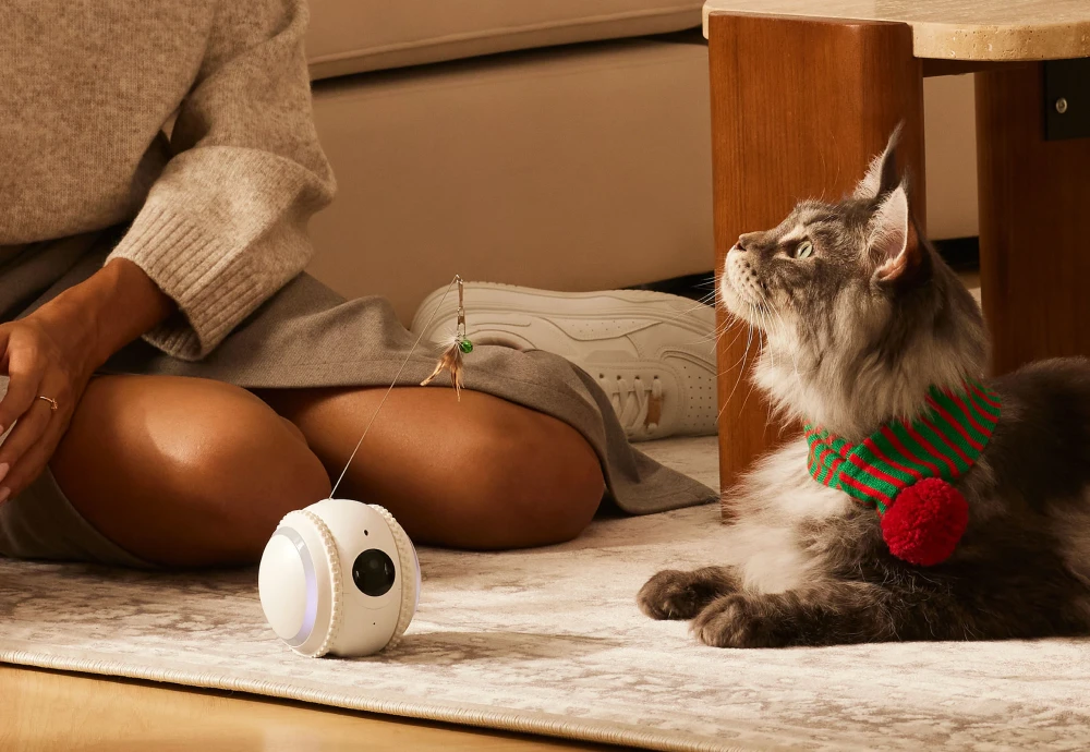 pet camera for dogs